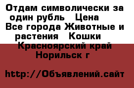 Отдам символически за один рубль › Цена ­ 1 - Все города Животные и растения » Кошки   . Красноярский край,Норильск г.